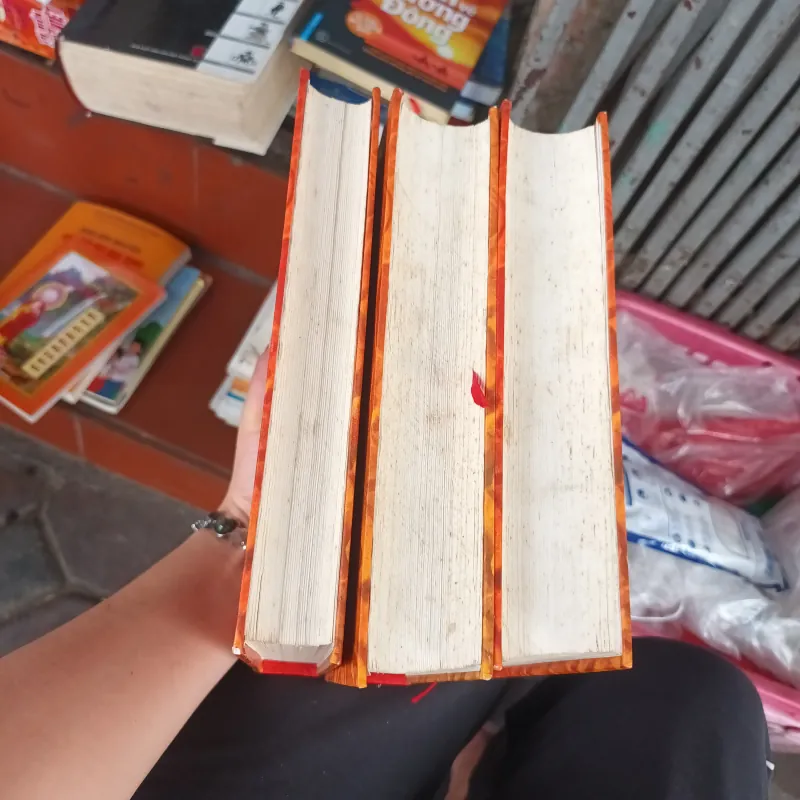 Đại Việt Sử Ký Toàn Thư Bộ 3 Tập 1025660