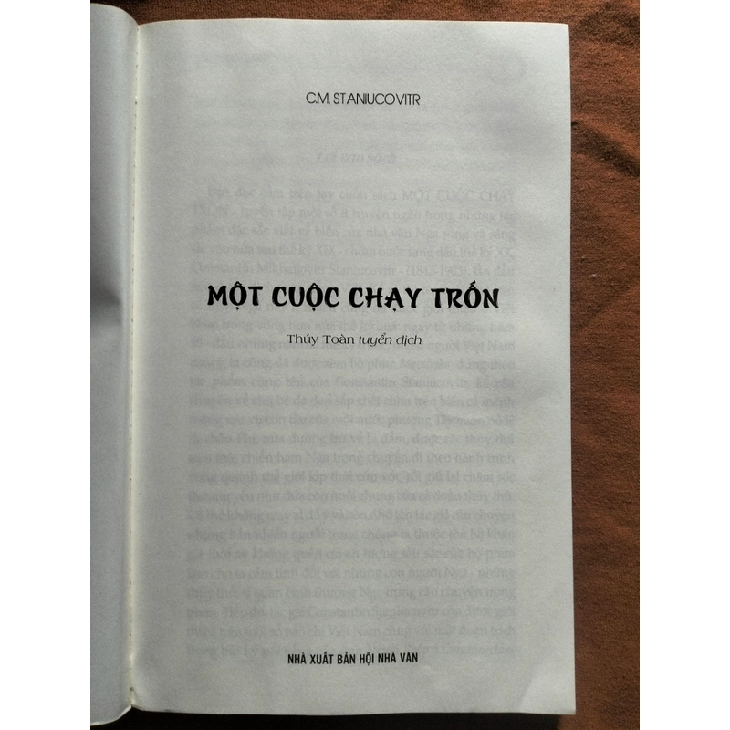 Một cuộc chạy trốn - Kostantin Staniukovich 550585