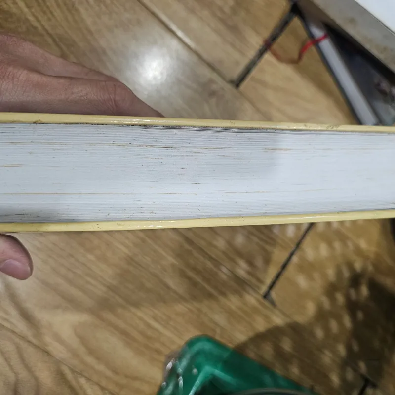 Tiếng chim hót trong bụi mận gai  (bìa cứng)
130k 758362