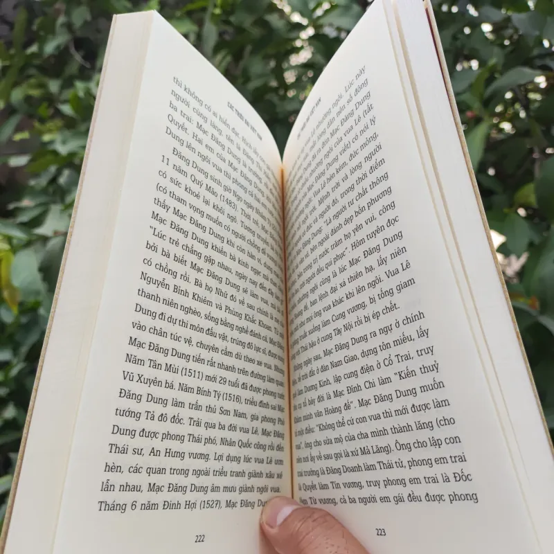 Các Triều Đại Việt Nam 925344