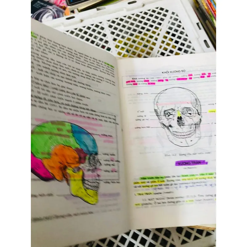 BỘ 2 TẬP GIẢI PHẪU HỌC  799119