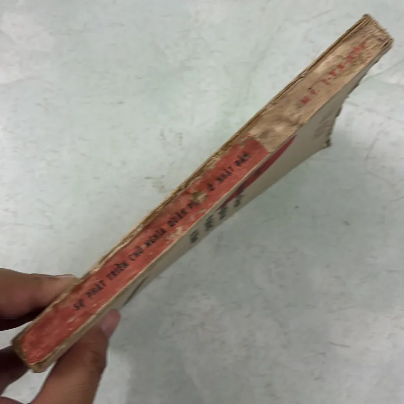 Sự phát triển của chủ nghĩa quân phiệt ở Nhật Bản 997572