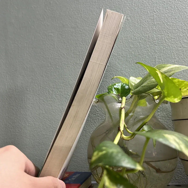 Chờ em lớn nhé được không ? 787620