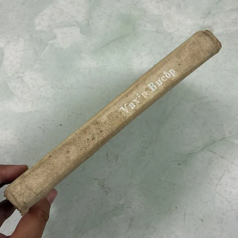 Gắng sống đến bình minh - 1985s 997567