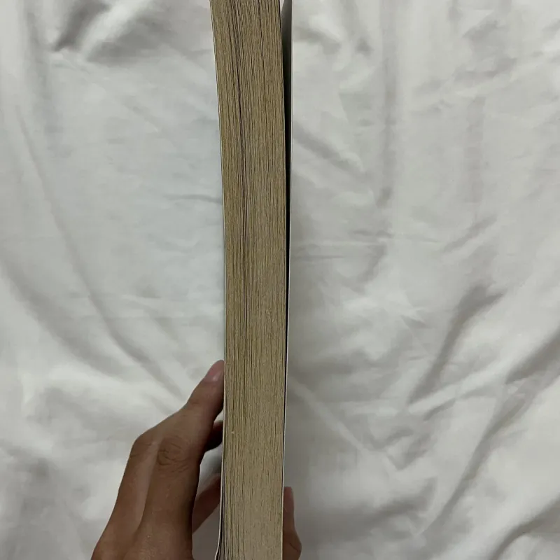 The Boy in the Striped Pyjamas - John Boyne 790094