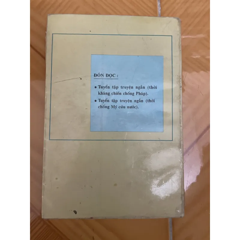 Thơ Việt Nam hiện đại 1010900