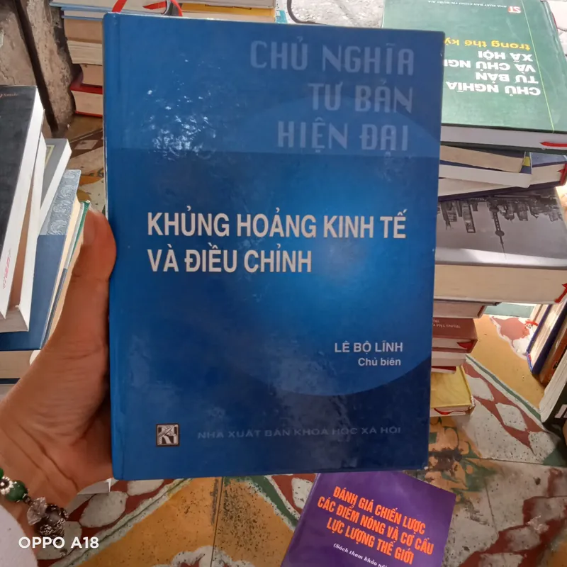 Chủ Nghĩa Tư Bản Hiện Đại Khủng Hoảng Kinh Tế Và Điều Chỉnh - Lê Bộ Lĩnh 739403