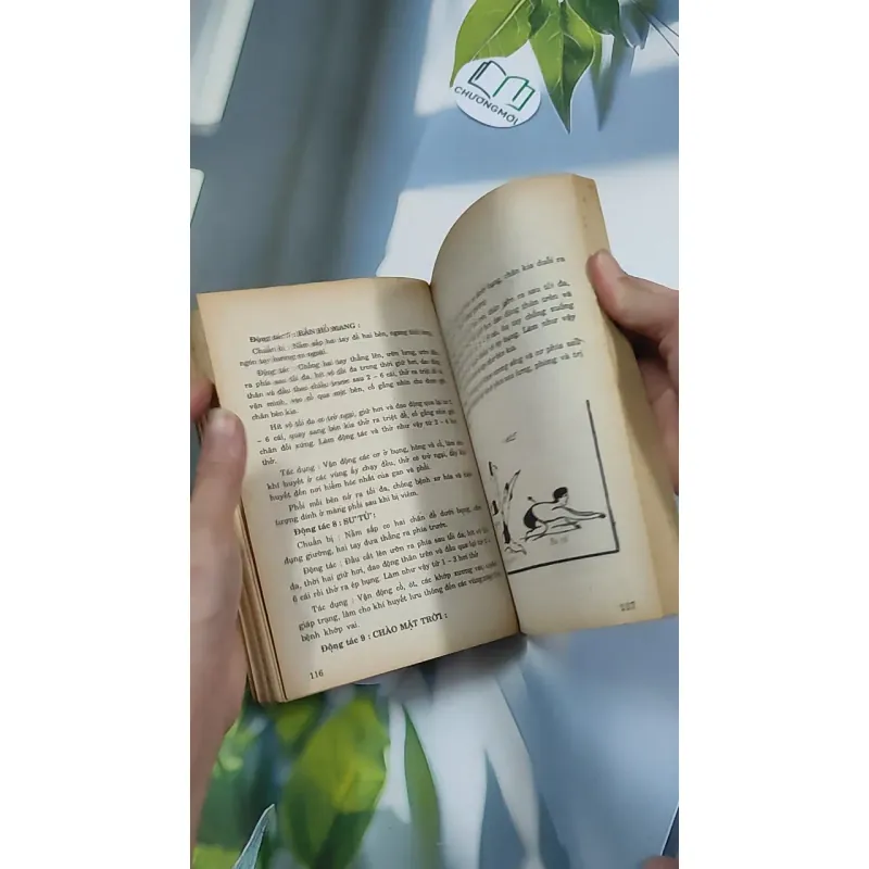 [XƯA] 6 Bí Quyết Dưỡng Sinh Người Có Tuổi (1994) 776147