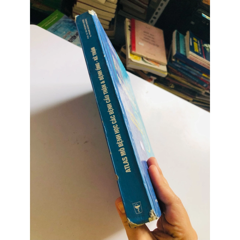 ATLAS MÔ BỆNH HỌC CÁCH BỆNH CẦU THẬN & BỆNH ỐNG - KẼ THẬN 524844