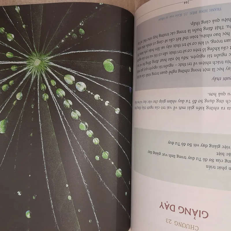 Sơ đồ tư duy của Tony Buzan  572392