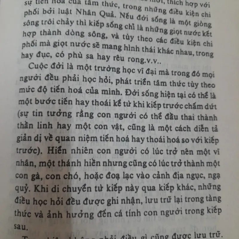 Nguyên Phong- Ngọc sáng trong Hoa Sen. Ngt The Weel of life 775929