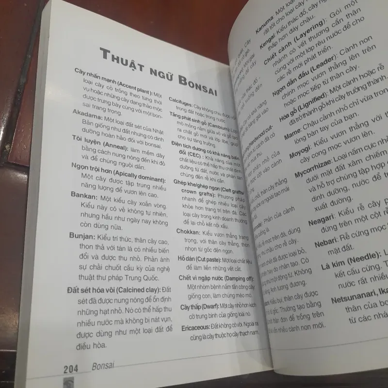 DAVID PRESCOTT - Cẩm nang BON SAI 731233