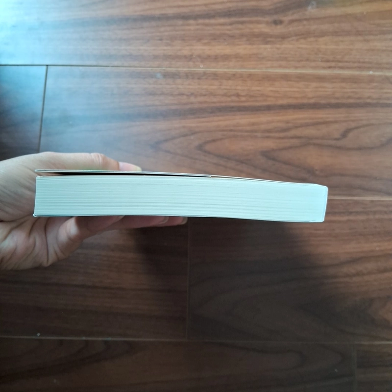 Lạc mất & tìm lại 505988