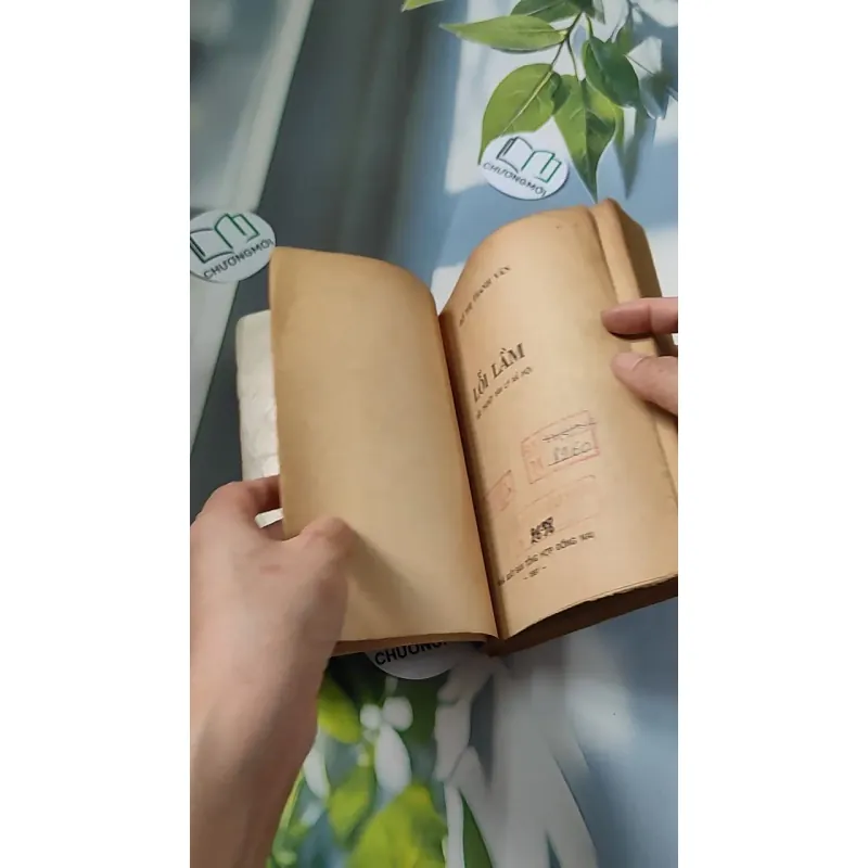 [XƯA] Lỗi Lầm (1991) - Đỗ Thị Thanh Vân 776065