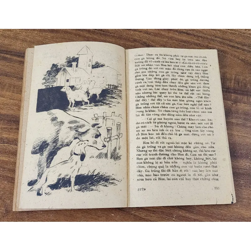 CON BIM TRẮNG TAI ĐEN - NXB Măng Non 1983 (tranh vẽ minh họa) 732140
