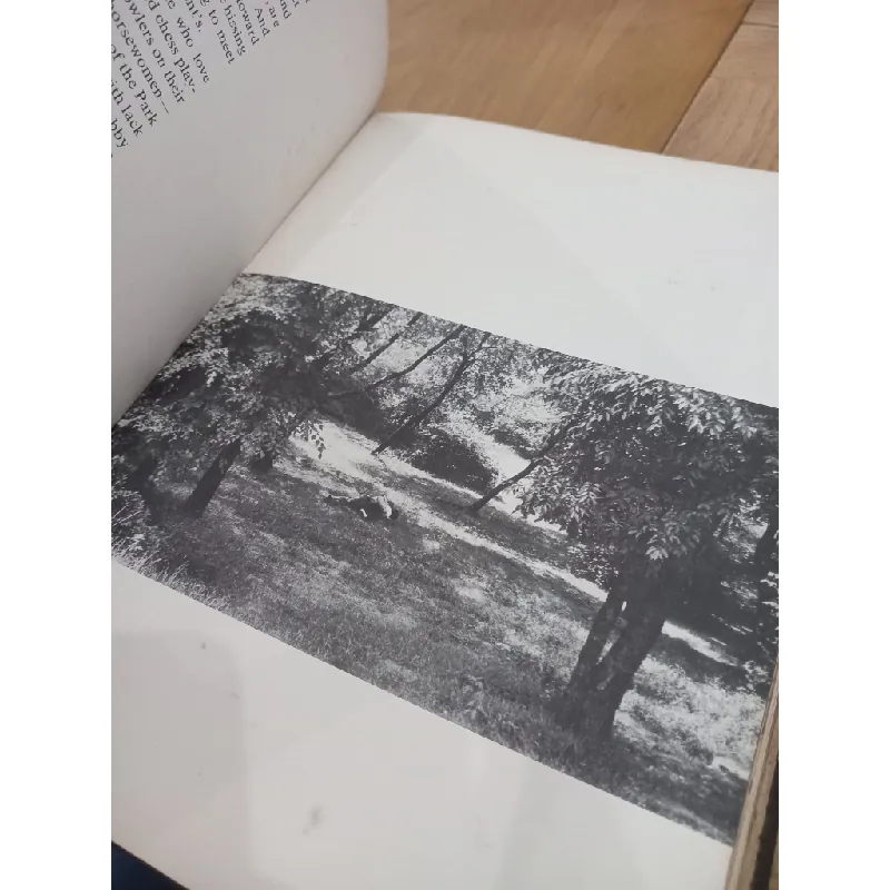 The New York i know - Marya Mannes, Herb Snitzer 568352