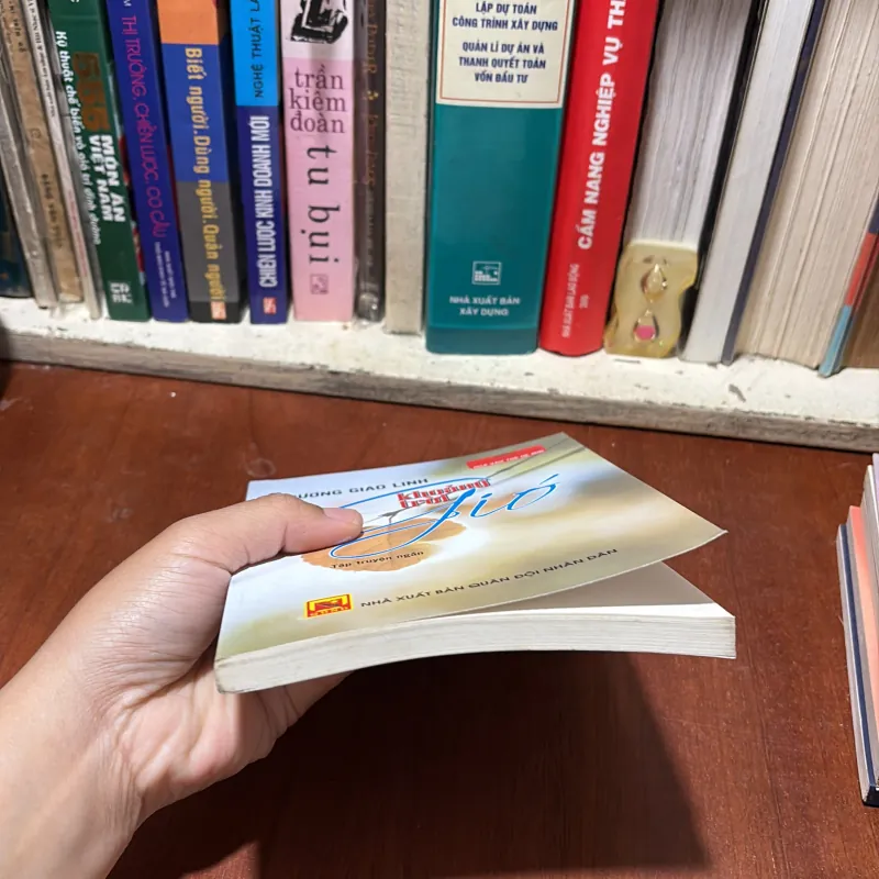 II Tập Truyện Ngắn: Khoảng Trời Gió - Dương Giao Linh - 2020 785689