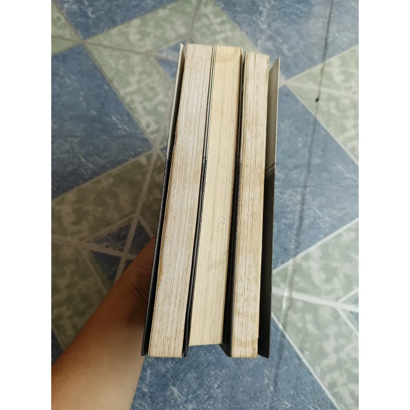 Ngọa hổ tàng long - Vương Độ Lư 572022