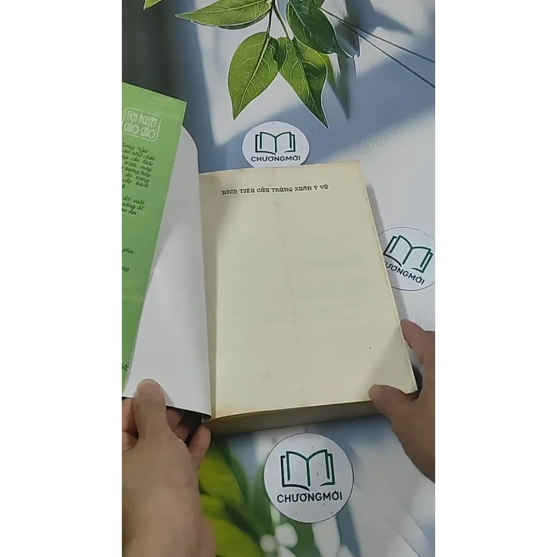 Bích Tiêu Cửu Trùng Xuân Ý Vũ 2 694960