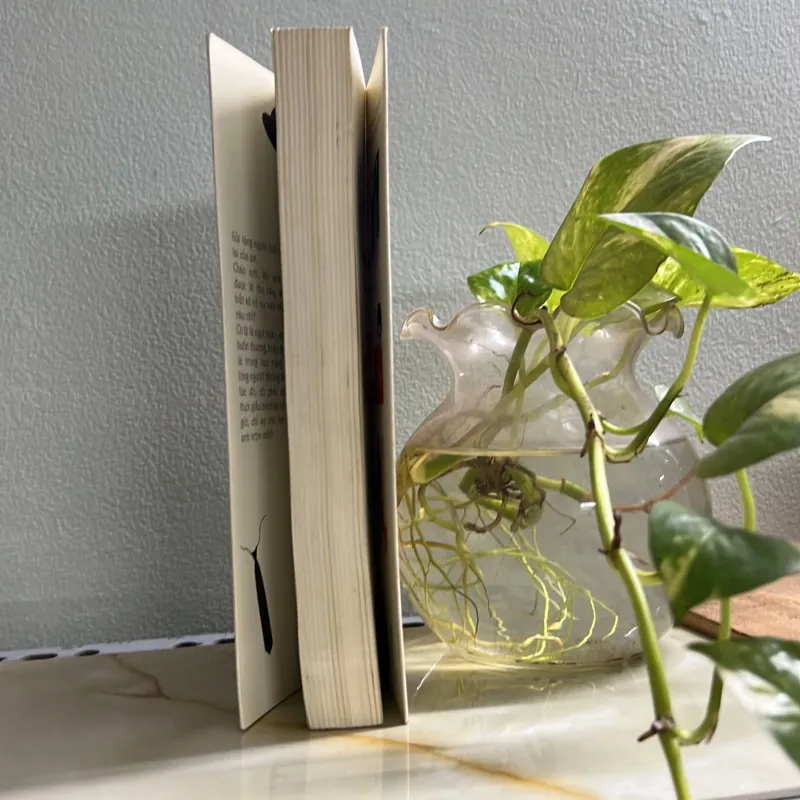 Ông xã anh là ai - Vi Lộ Thần Hi 750738