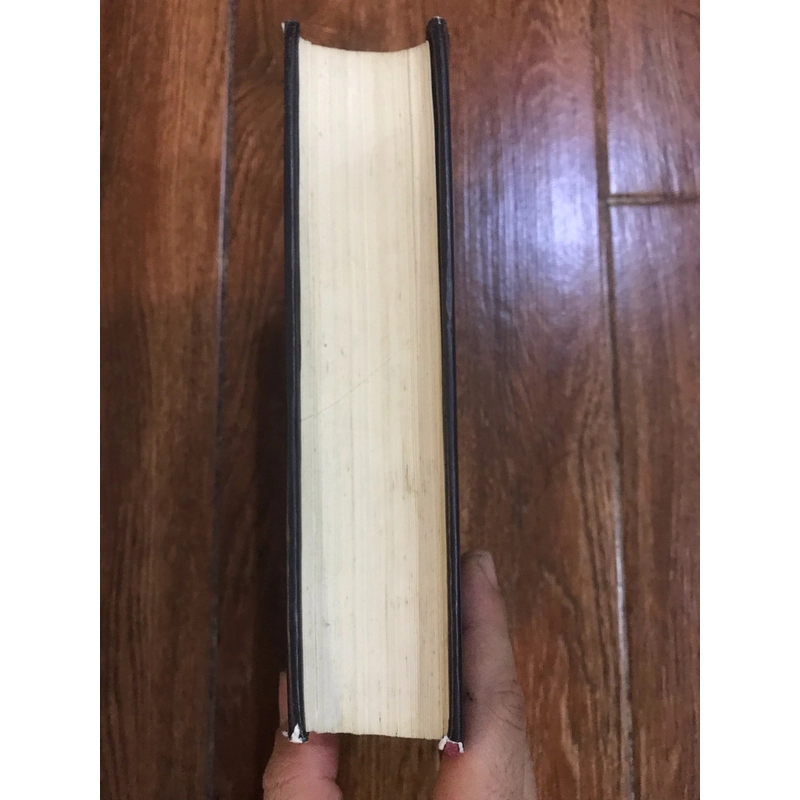  LỪA DỐI HÀO NHOÁNG - Neil Sheehan (b) 444733