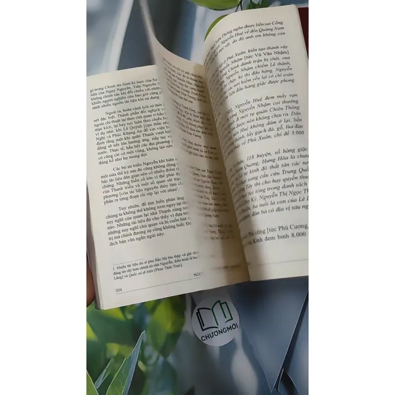 Đàng Trong Thời Chúa Nguyễn - Nguyễn Duy Chính 970274