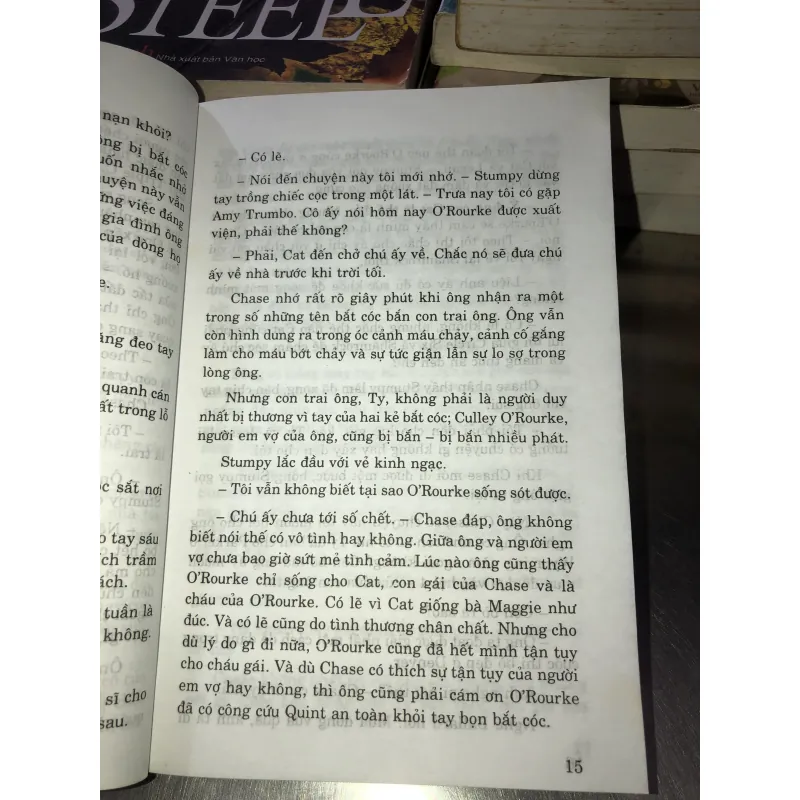 Chỉ vì yêu - Janet Dailey 1005498