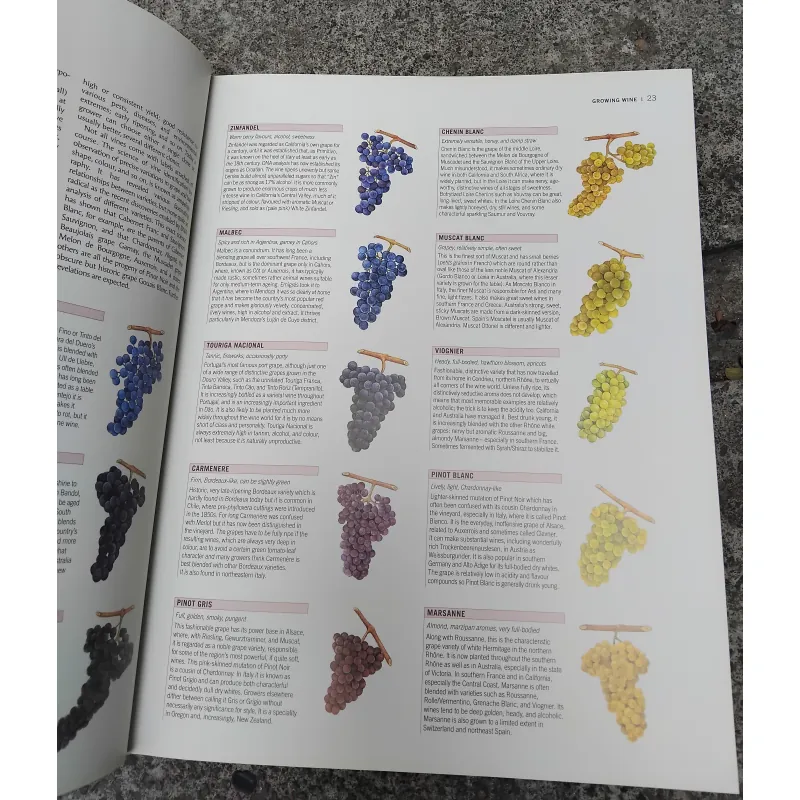 The world atlas of  wine 970849