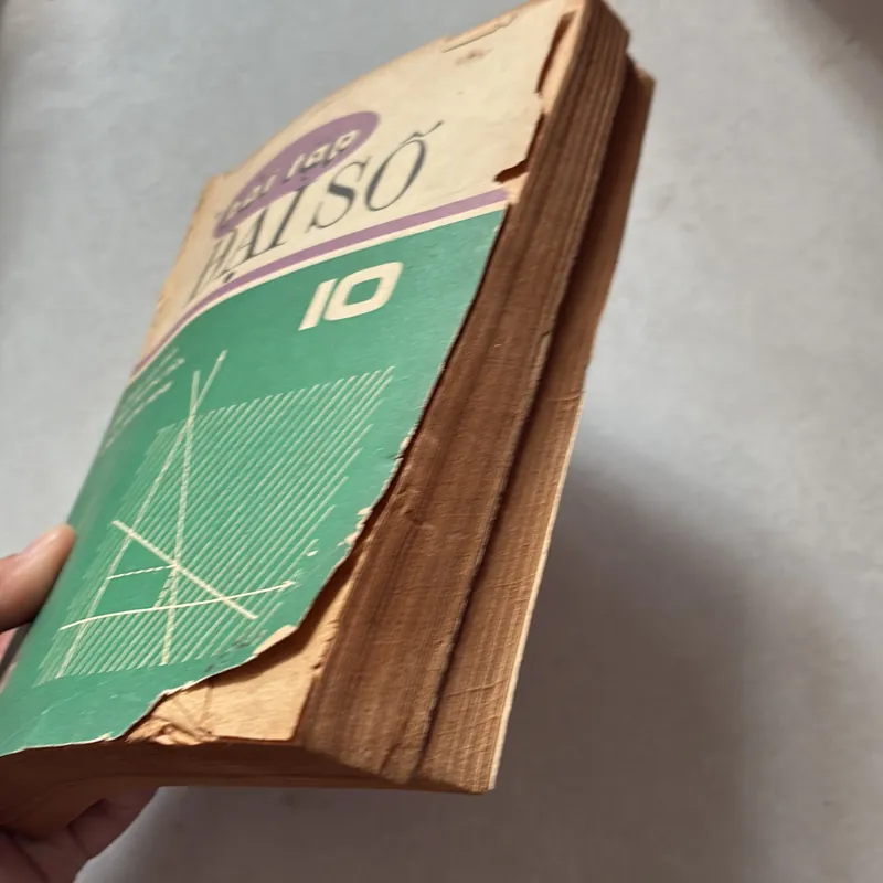 Đại số & Bài tập 10 - trần Văn Hạo 739266