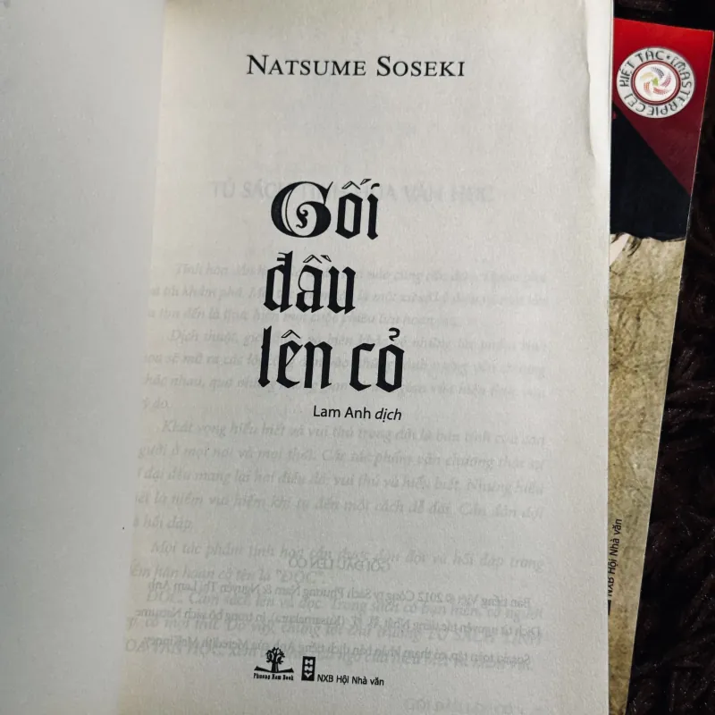 Combo Nỗi Lòng + Gối đầu lên cỏ 1020763