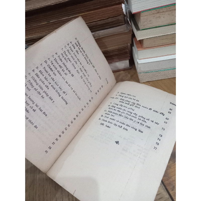 Nuôi bò sữa ở gia đình - GS. Trần Nhơn 781033