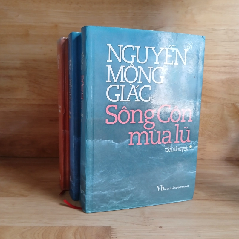 Tiểu Thuyết Sông Côn Mùa Lũ (Bộ 3 Tập)
- Nguyễn Mộng Giác 196000