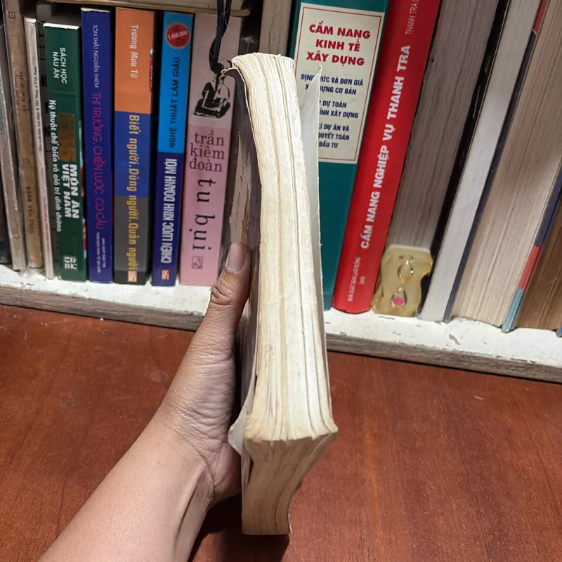 II Truyện Giả Sử: Chuyện Cũ Bên Dòng Sông Tô - Viên Mai - 2008 786253