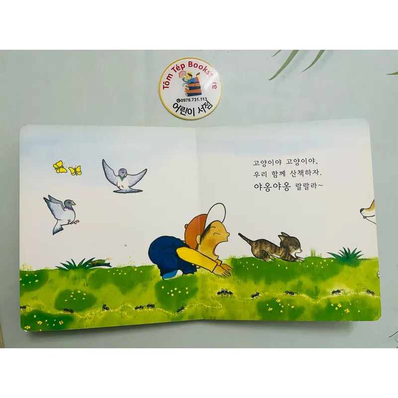 Set sách boardbook 푸름이 까꿍 그림책- Ehon Nhật Bản dịch sang tiếng Hàn Mã X11 1065411