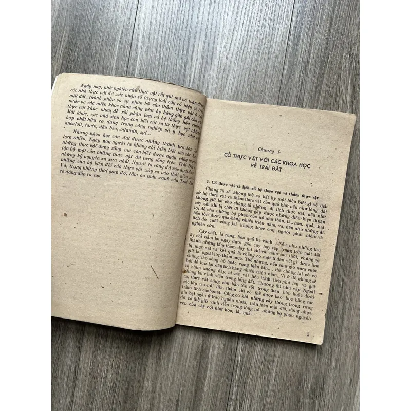 📖 Giới thực vật trong lịch sử trái đất 719242