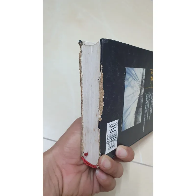 ROI THẦN ÂM DƯƠNG BÁT QUÁI  1030688