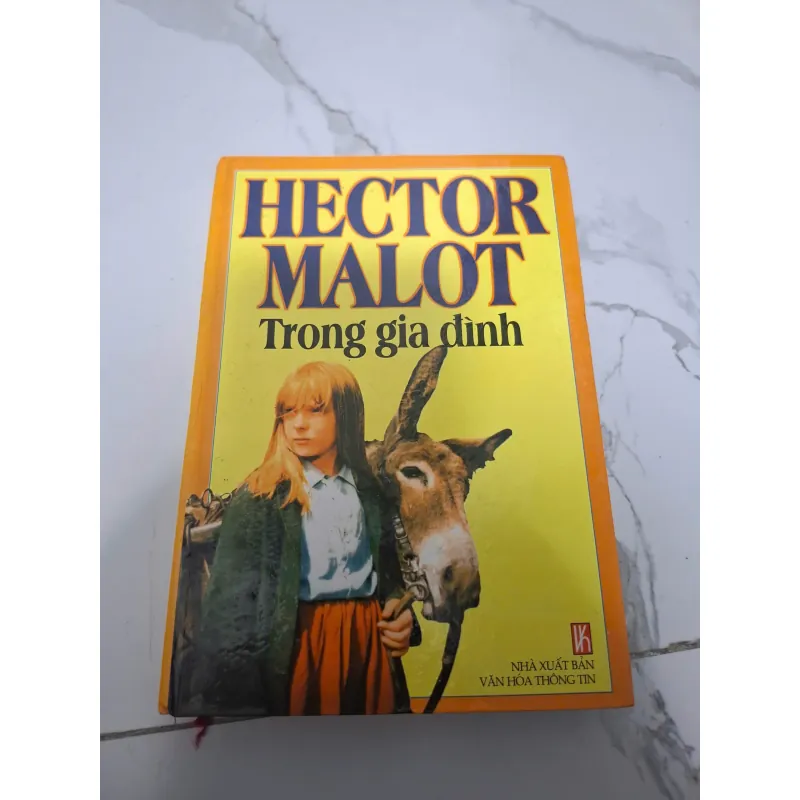 Trong gia đình - Hector Malot - Tiểu thuyết thiếu nhi / Kinh điển 605760