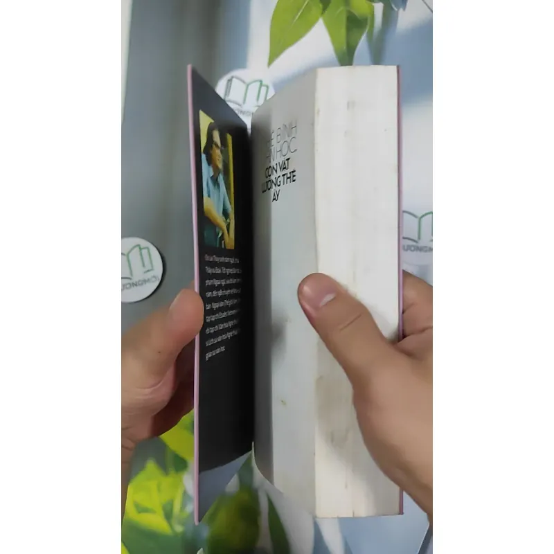 [MIỄN PHÍ BỌC SÁCH] Phê Bình Văn Học, Con Vật Lưỡng Thể Ấy - Đỗ Lai Thúy 798448