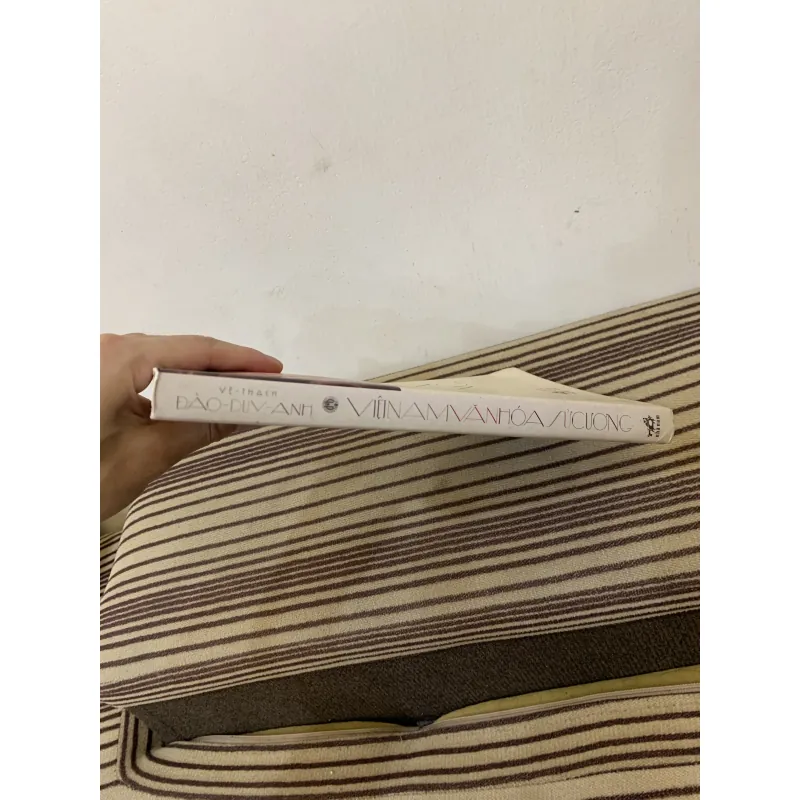 Việt Nam văn hoá sử cương 1011424