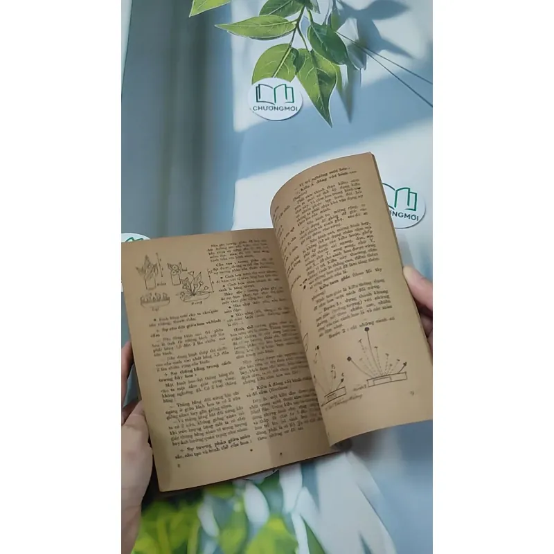 Tạp Chí Khoa Học, Nghệ Thuật Và Đời Sống - Cẩm Nang Chuẩn Bị Ngày Tết 775999