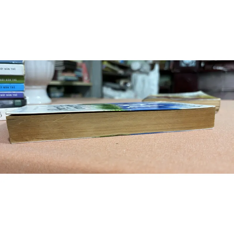 Ngồi khóc trên cây 🌊 592203