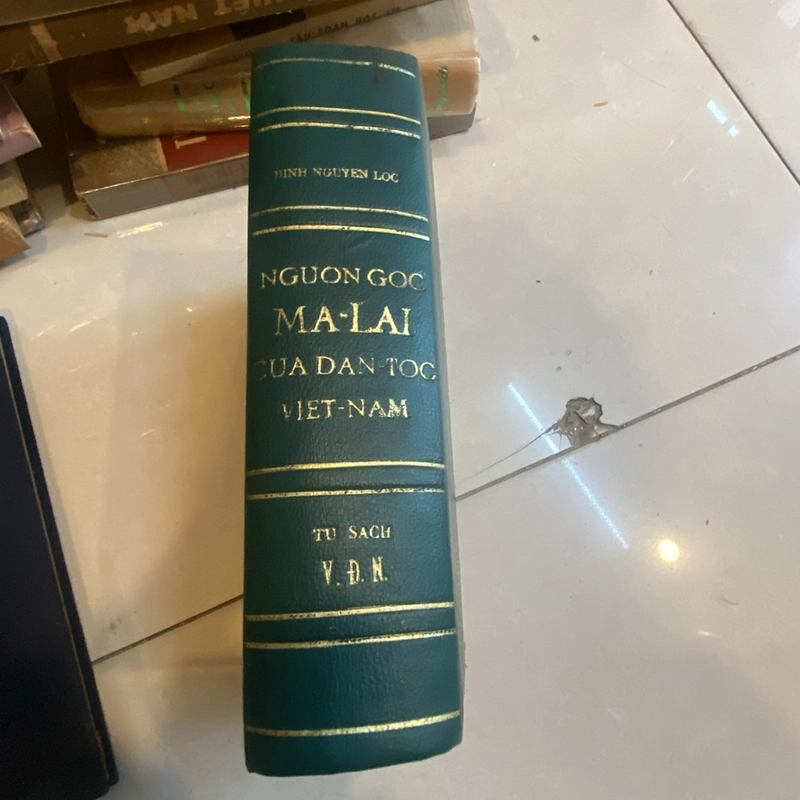 NGUỒN GỐC MÃ LAI CỦA DÂN TỘC VIỆT NAM 283210
