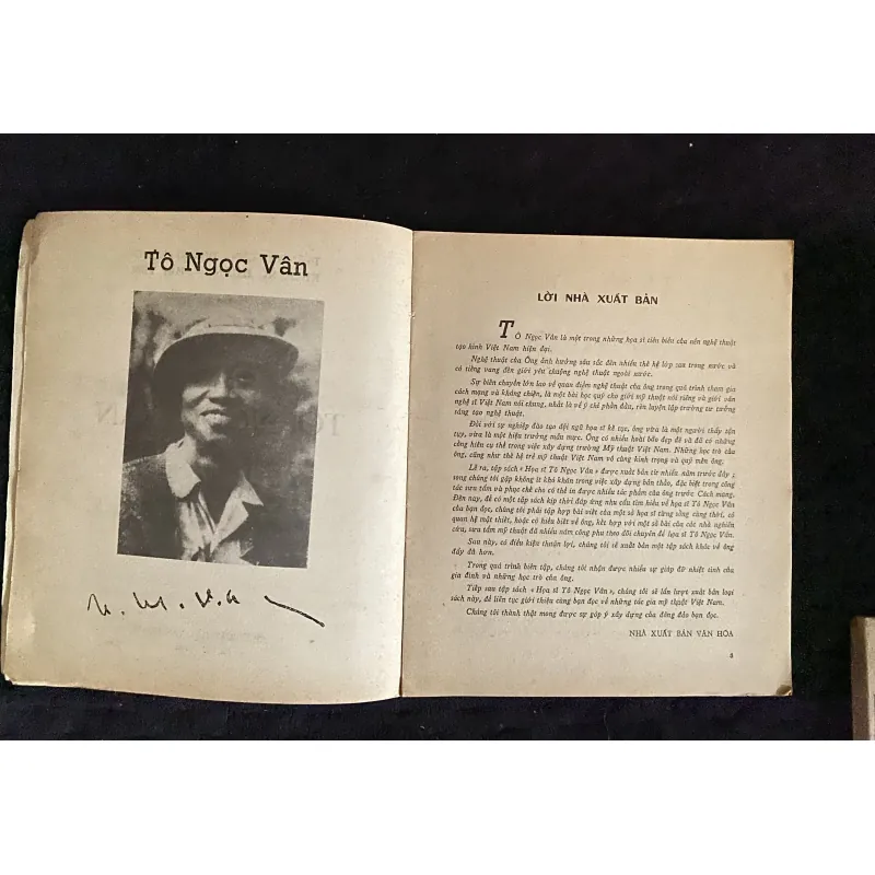 Tô Ngọc Vân 996978