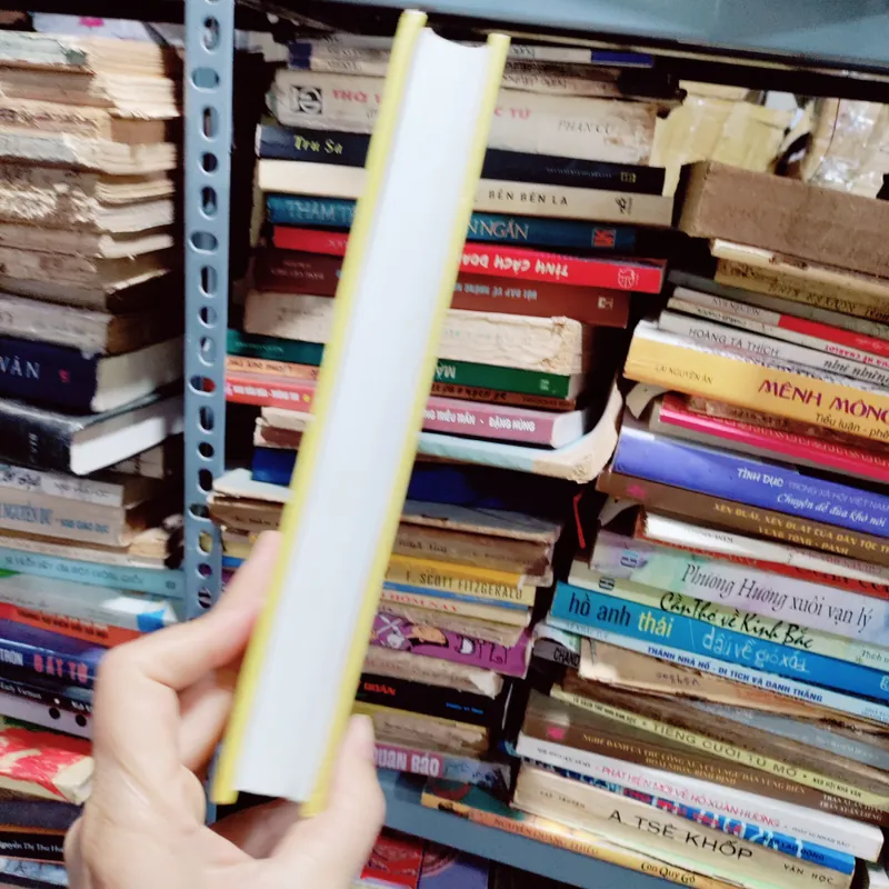 Tư liệu truyện kiều 673721