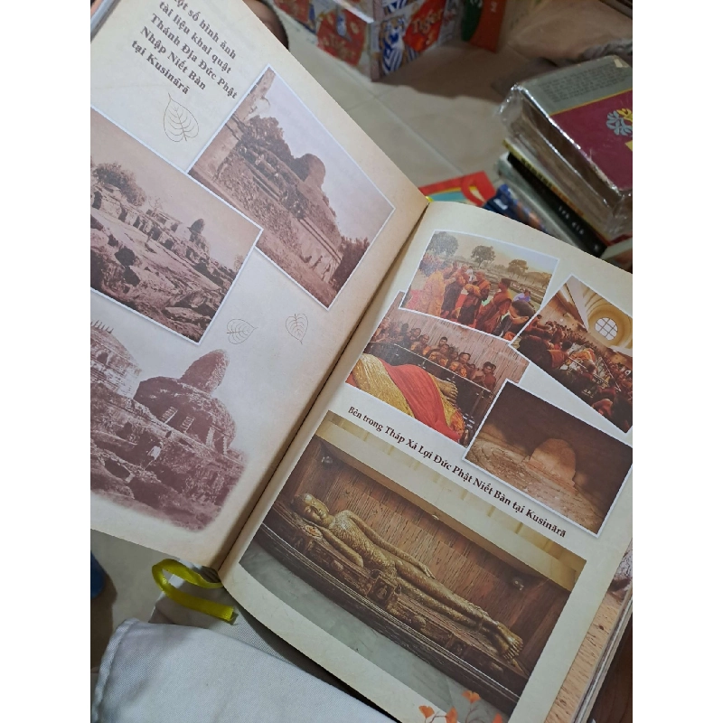 Bước Chân Hành Giả (Bút Ký Hành Trình Đầu Đà Qua Vùng Đất Thiêng Liêng) - Tỳ-kheo Tuệ Nhân - 2024 mới 90% - TÂM LINH - TÔN GIÁO - THIỀN - HCM3012 749836