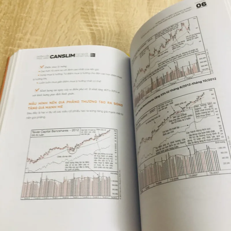 HƯỚNG DẪN THỰC HÀNH CANSLIM CHO NGƯỜI MỚI BẮT ĐẦU 968615