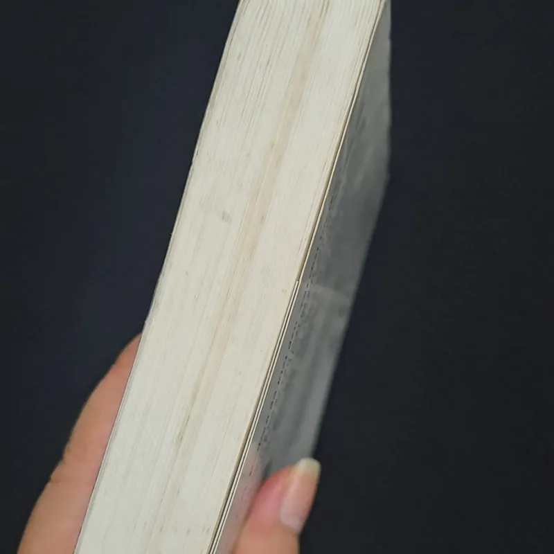 Rồi Sau Đó - Guillaume Musso 308735