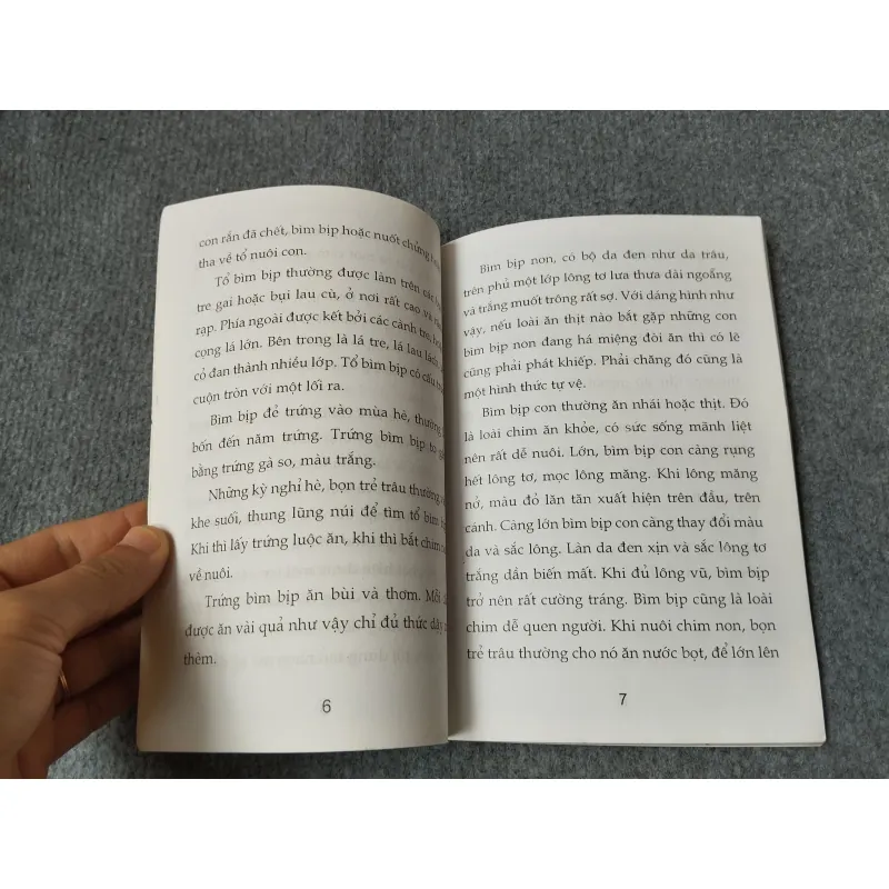 SƠN CA CỦA NÚI RỪNG 720694