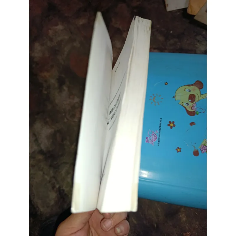 Tà không thắng chánh 1021417