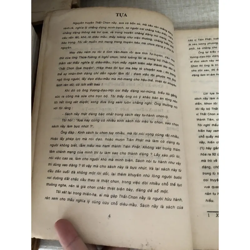 Thất chơn nhơn quả 995104